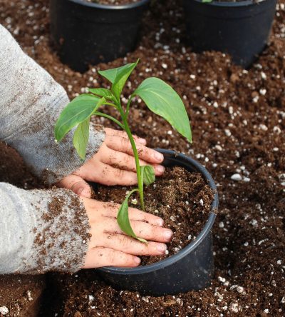 jardineria alumnos