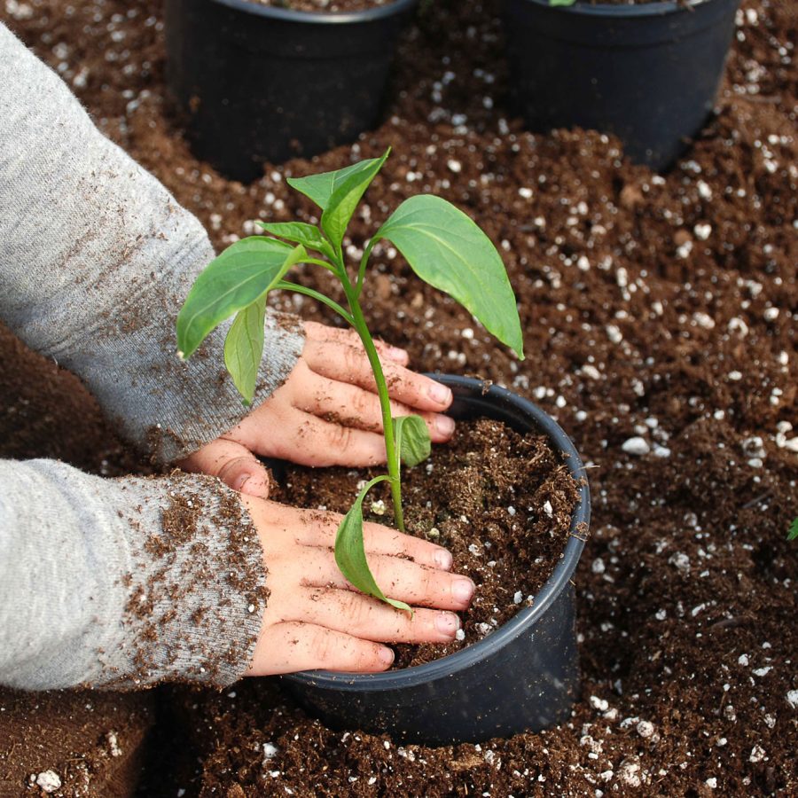 jardineria alumnos